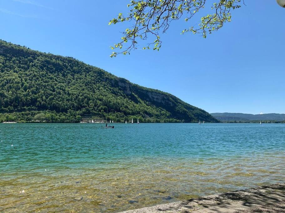 Joli Appartement En Face De Lac Nantua Luaran gambar