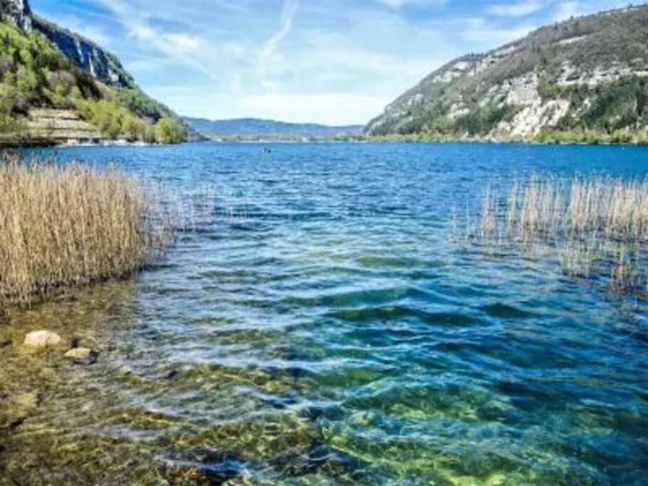 Joli Appartement En Face De Lac Nantua Luaran gambar