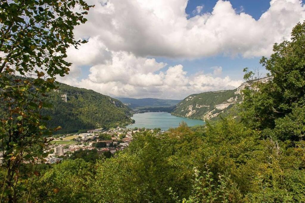 Joli Appartement En Face De Lac Nantua Luaran gambar